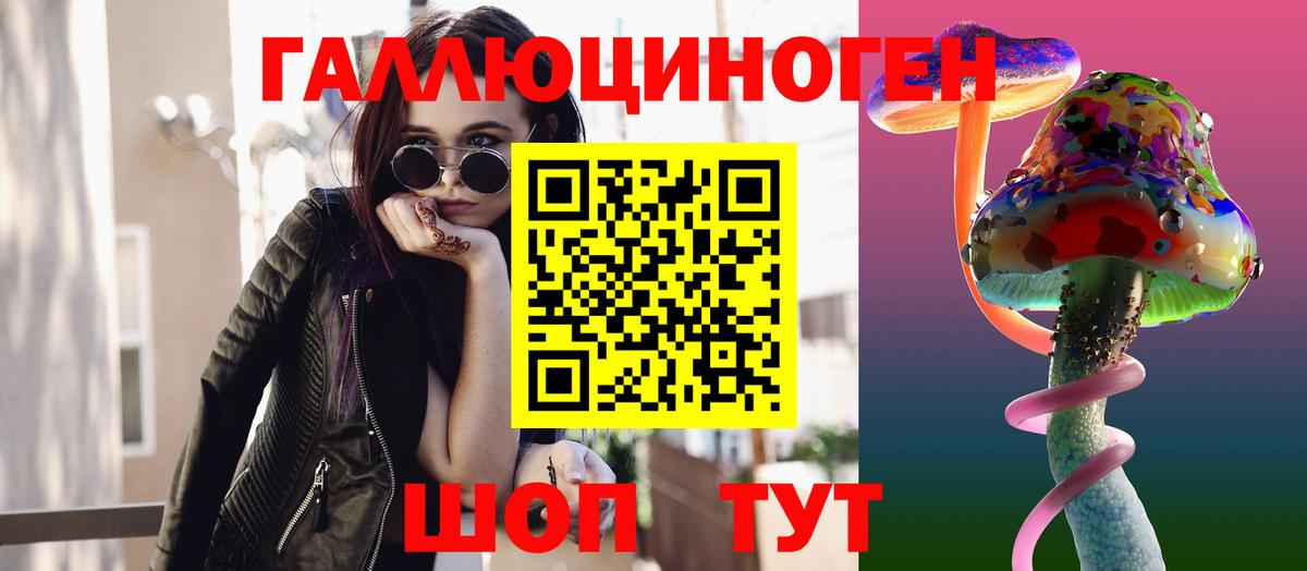 Галлюциногенные грибы Psilocybe Тихорецк