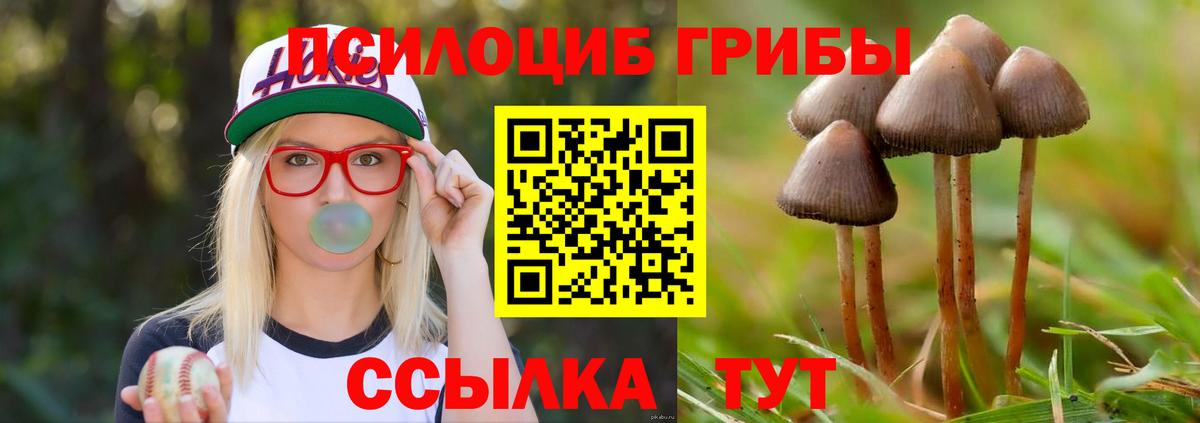 где купить   Псилоцибиновые грибы мицелий  Вход с VPN  Галлюциногенные грибы ЛСД  Тихорецк 